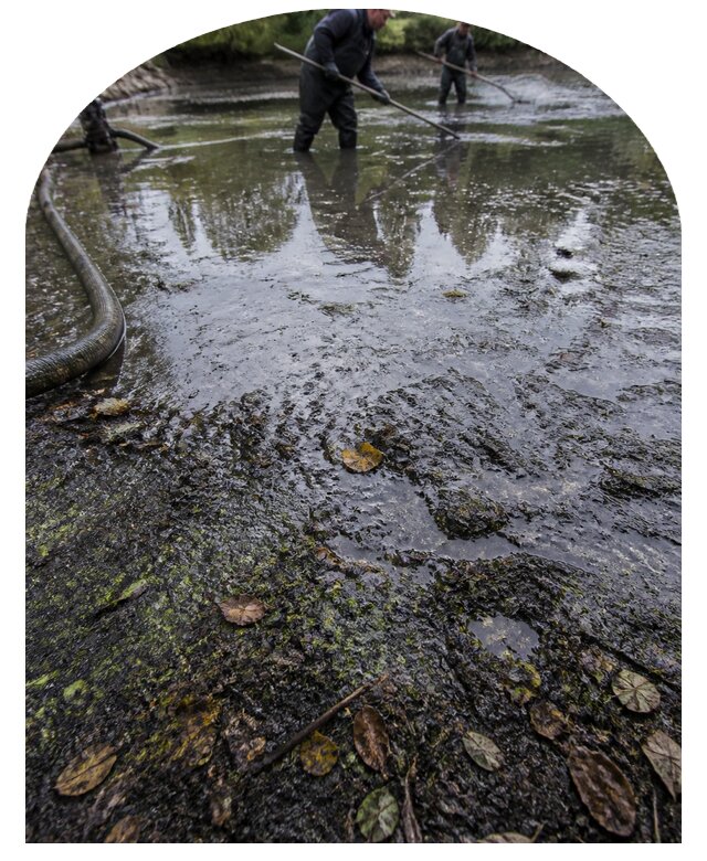Очистка пруда в Боровичах от ила мусора и водорослей с вывозом